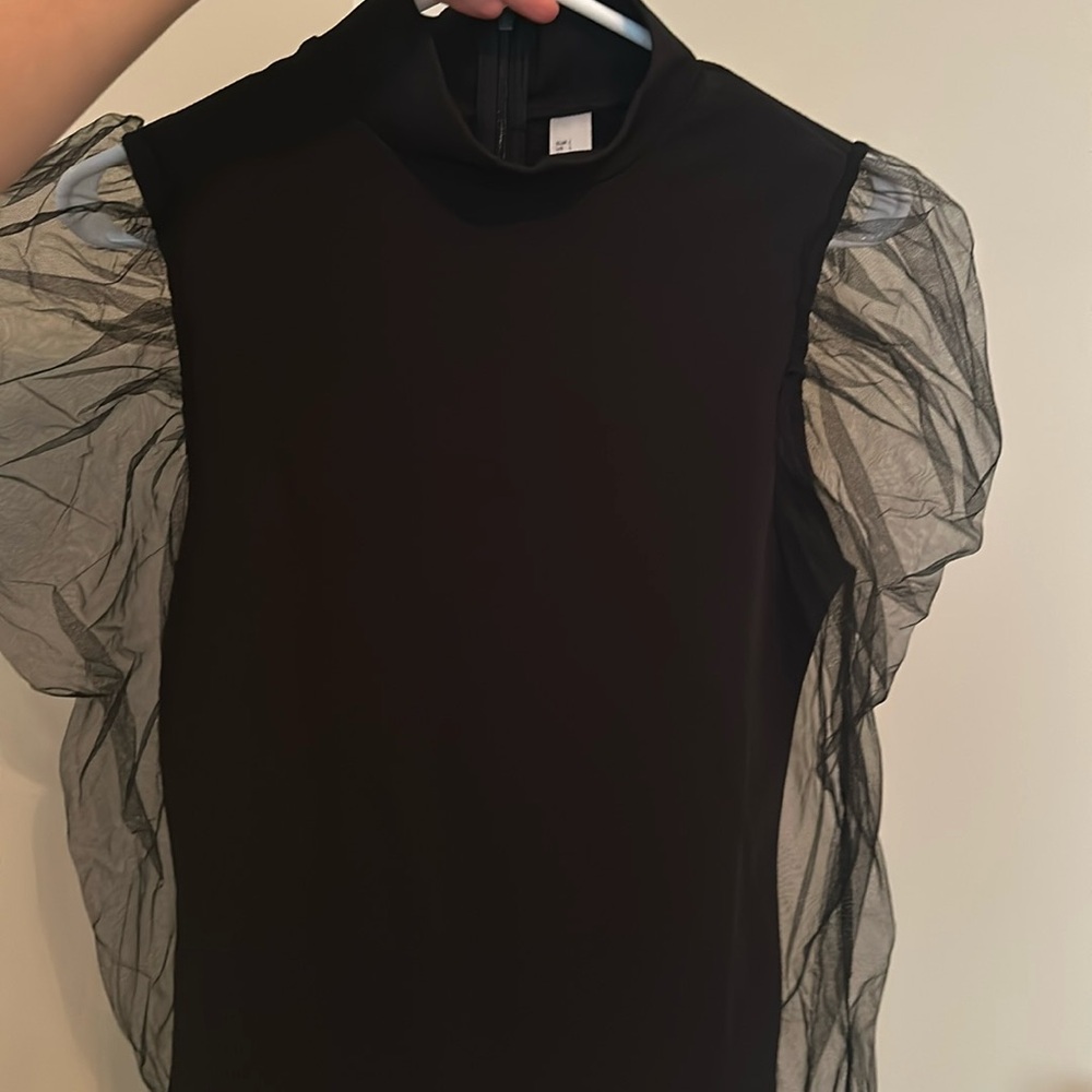 Top with sheer bubble sleeves